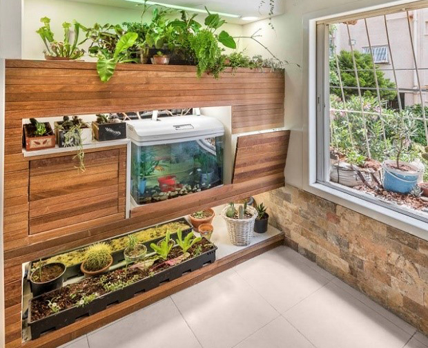 Домашний аквариум и огород