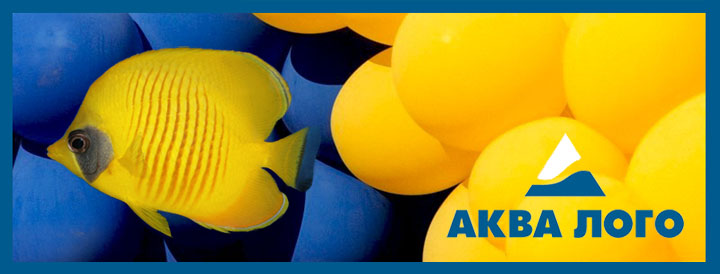 12 апреля состоится ЗАПУСК нового супермаркета Аква Лого на ВДНХ!