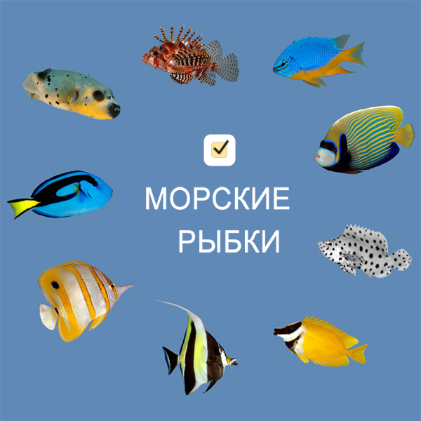 Как выбрать рыбок для морского аквариума - воспользуйтесь фильтром!