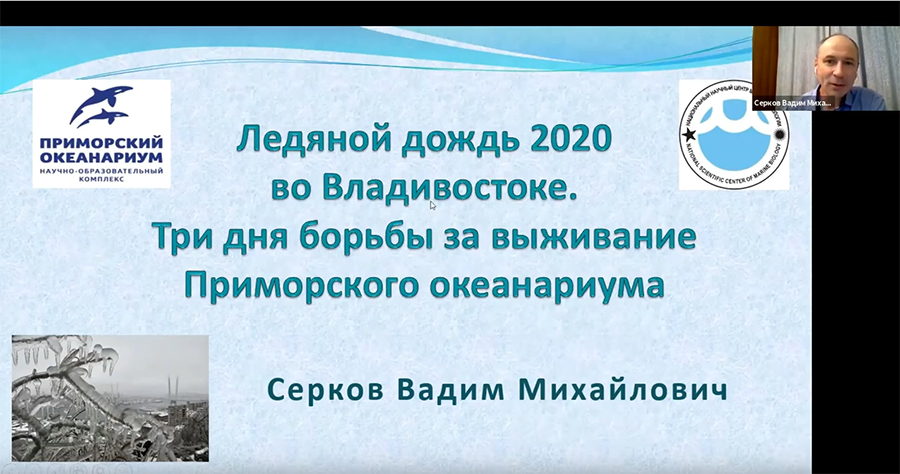 Онлайн доклад Серкова ВМ - Ледяной дождь 2020 во Владивостоке Три дня борьбы за выживание Приморского океанариума