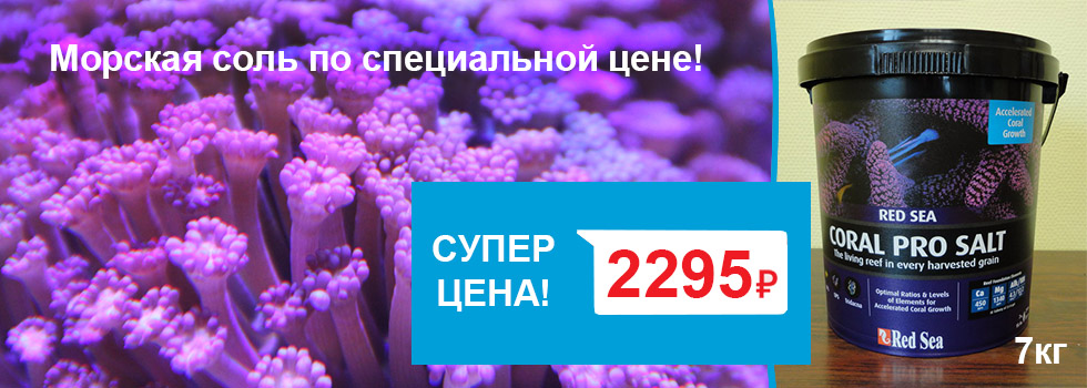 Супермаркет Аква Лого