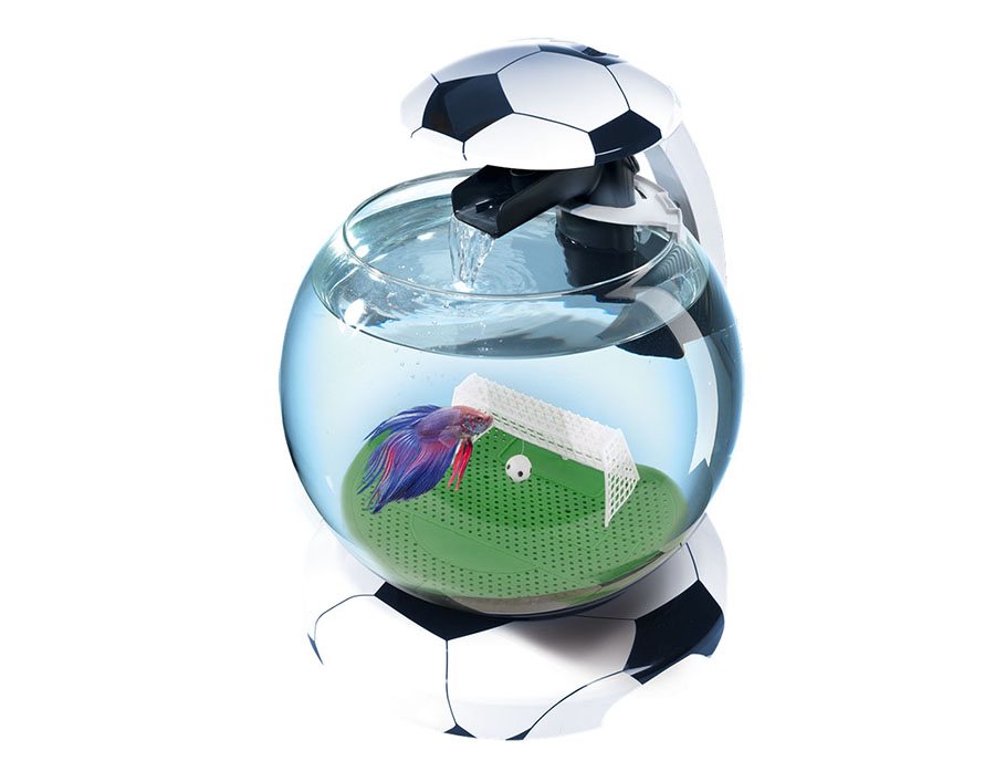 Выиграйте аквариум-футбольный мяч на празднике в Аква Лого на Волжской!