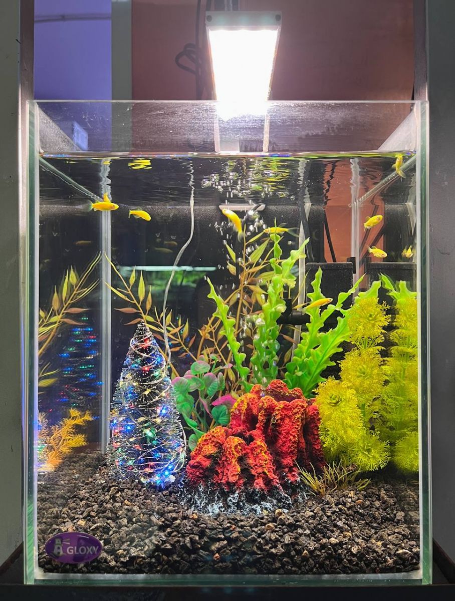 Аквариум готовое решение Вулканический остров в супермаркете Аква Лого