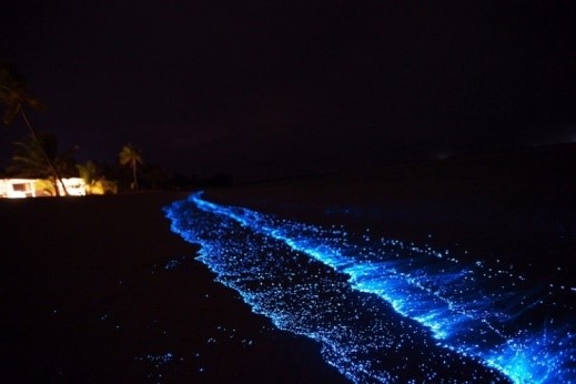 Звездные Мальдивские пляжи