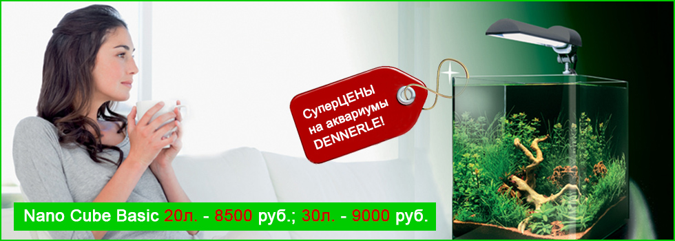 Товары Для Аквариума Интернет Магазин Москва Товары Для Аквариума Интернет Магазин Москва