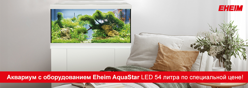Аквариумы с оборудованием Eheim AquaStar LED по специальной цене!