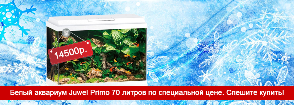 Белый аквариум Juwel Primo LED 70 литров по специальной цене