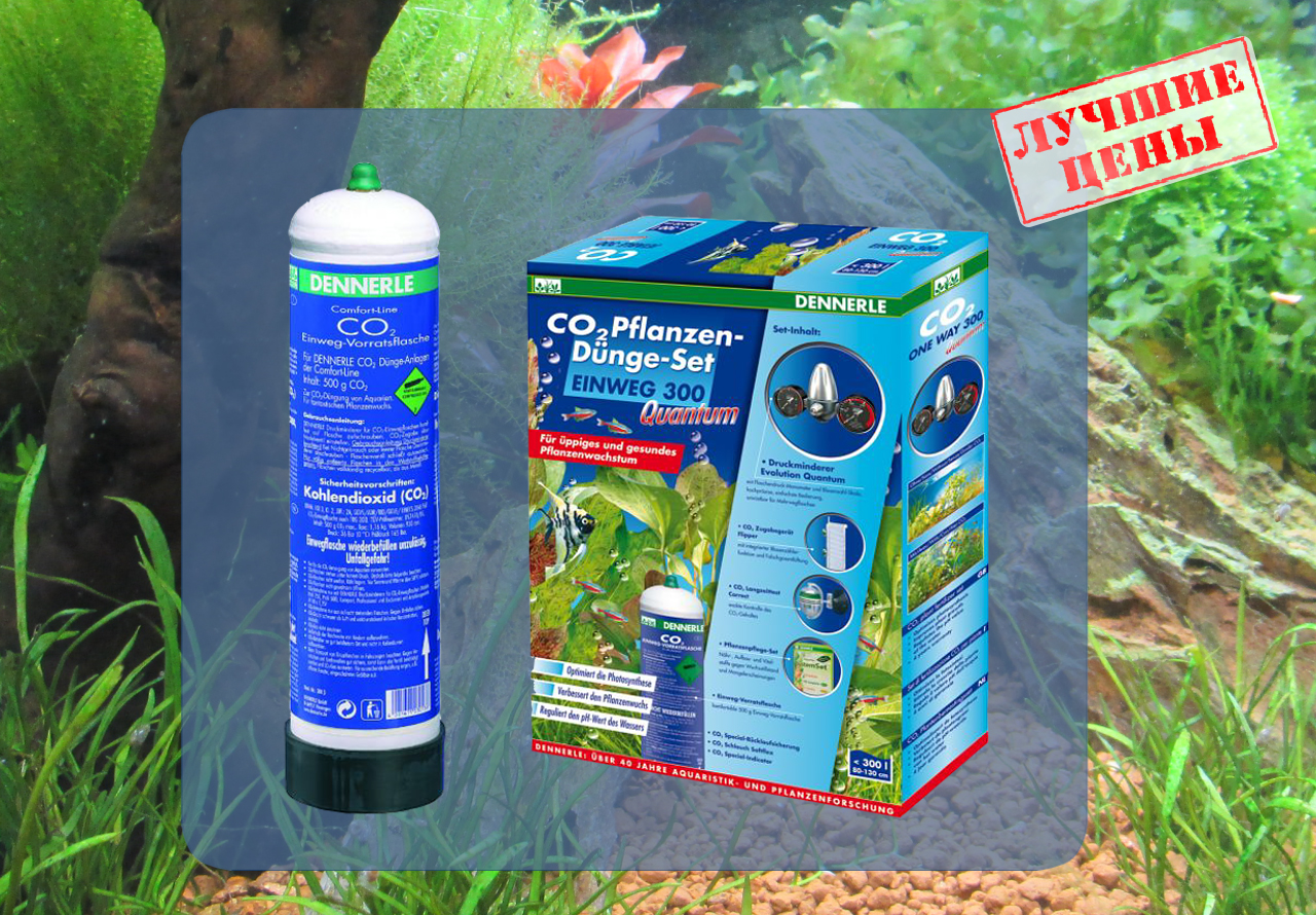Сделайте свой растительный аквариум красивым! Отличные цены на системы СО2!