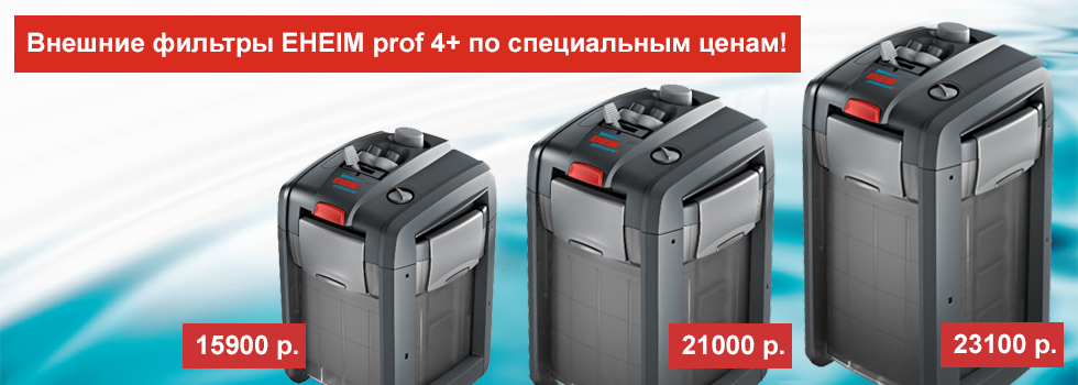 Внешние фильтры Eheim prof 4+ по специальным ценам в Аква Лого!