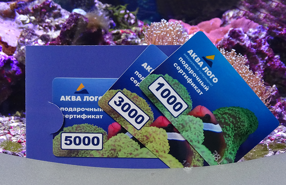 Лучший подарок аквариумисту - подарочные сертификаты Аква Лого!