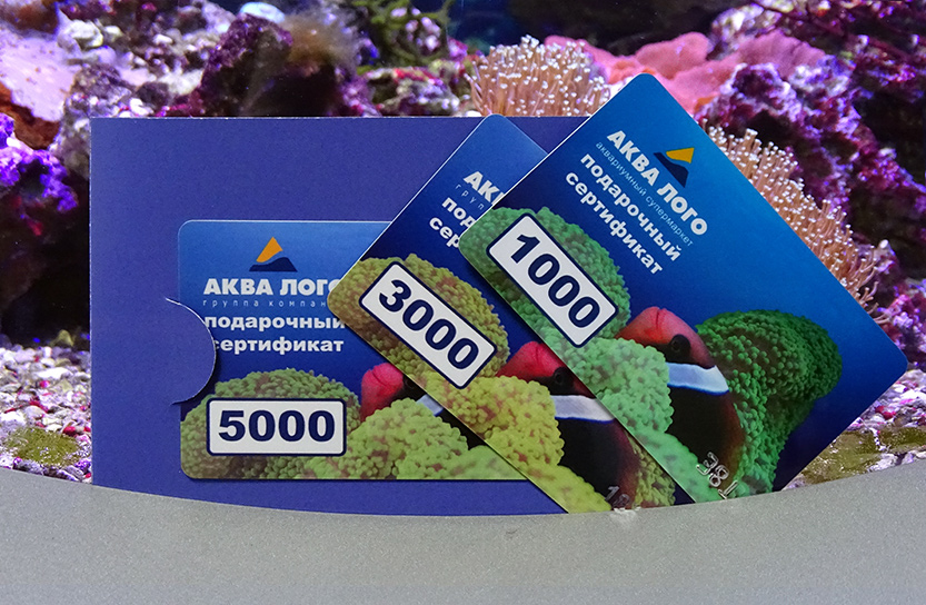 Что подарить аквариумисту?