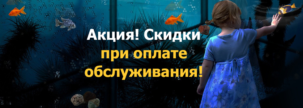Акция! Скидки при оплате обслуживания Аква Лого!