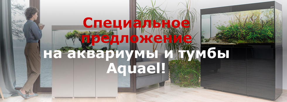 Специальное предложение на аквариумы Aquael в салоне Аква Лого!