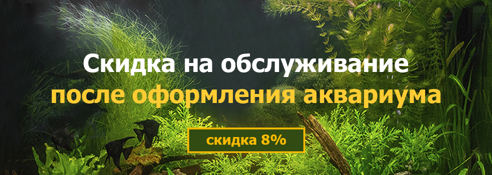 Скидка 8% на обслуживание после оформления аквариума!