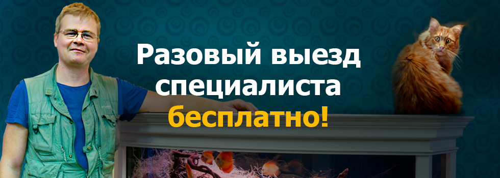 Разовый выезд специалиста сектора сервиса Аква Лого бесплатно!