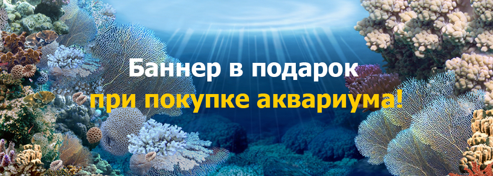 Баннер в подарок при покупке аквариума с оформлением!
