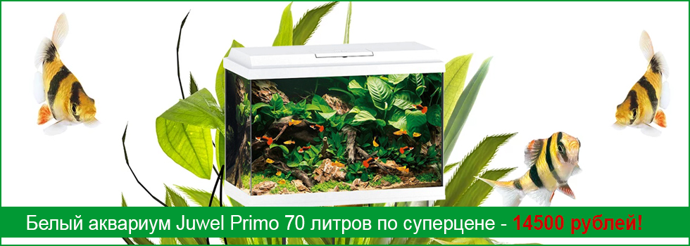 Белый аквариум Juwel Primo LED 70 литров по специальной цене!