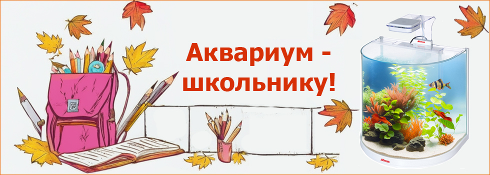 Скоро в школу! Подарите ребенку аквариум!