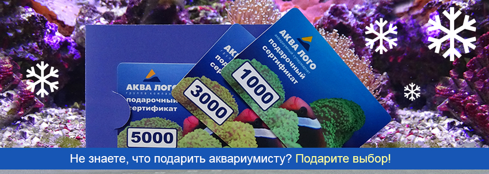 Выбор - лучший подарок аквариумисту! Покупайте подарочные сертификаты Аква Лого!