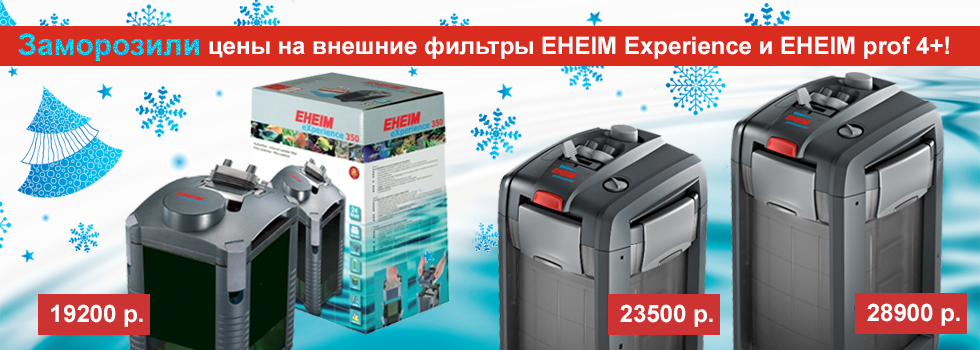 Заморозили цены на внешние фильтры Eheim Experience и Eheim professional 4+!
