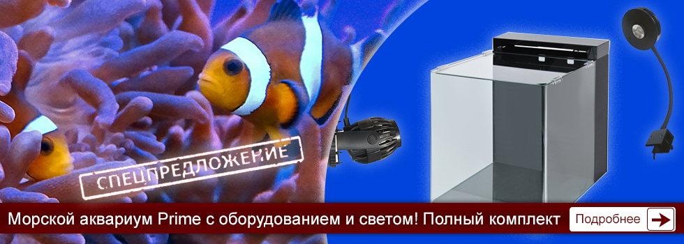 Специальное предложение при покупке морского аквариума Prime Marine - полный комплект