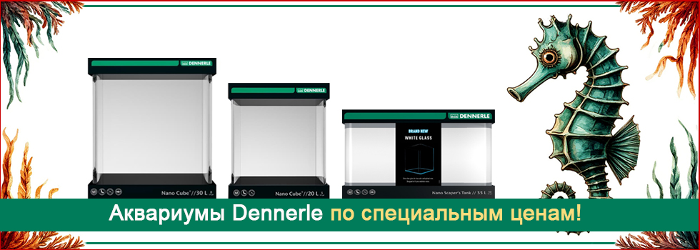 Специальное предложение на аквариумы Dennerle - праздничные цены!