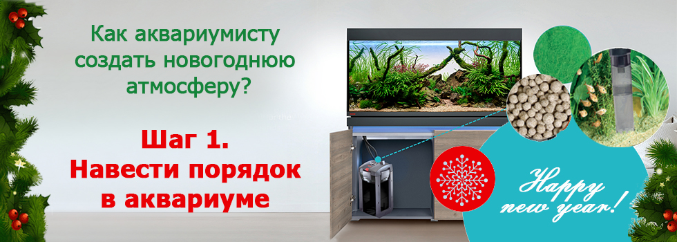 Новогодняя аквариумная атмосфера - шаг 1 - Навести порядок в аквариуме