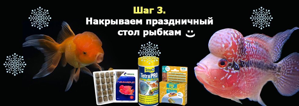 Новогодняя аквариумная атмосфера - шаг 3 - Накрыть правильный праздничный стол рыбкам