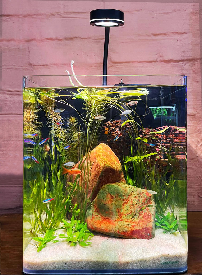 Аквариум готовое решение Камни в супермаркете Аква Лого