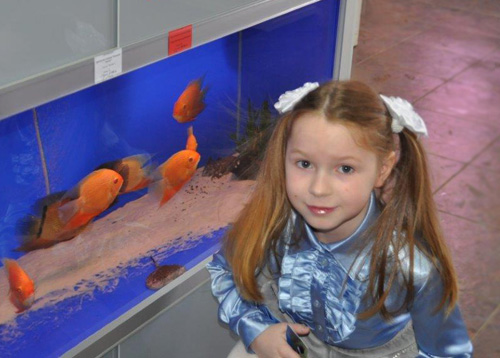 Сфотографируйтесь с рыбками на Дне открытых дверей в Аква Лого на Волжской