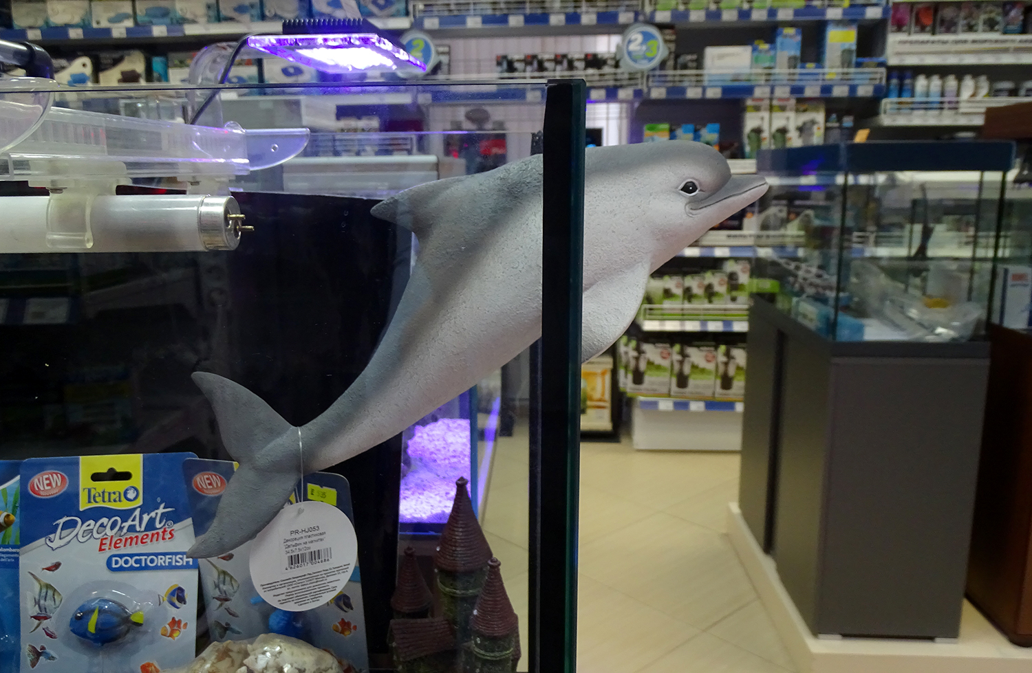 Декорация Prime на магнитах Дельфин в продаже в супермаркетах Аква Лого!