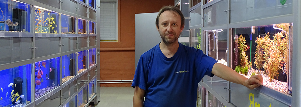 Широкий ассортимент обитателей пресноводных аквариумов в Аква Лого - Университет!