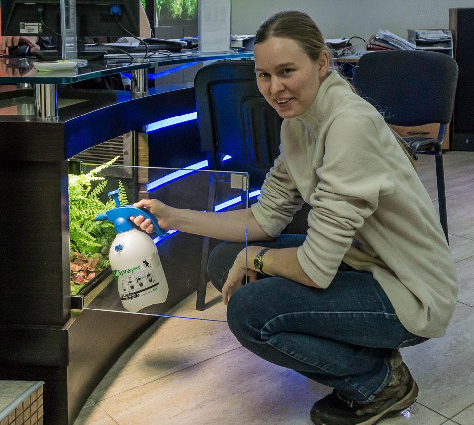 как запустить небольшой аквариум с живыми растениями