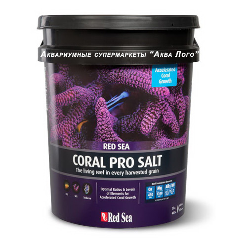 Red Sea Coral Pro