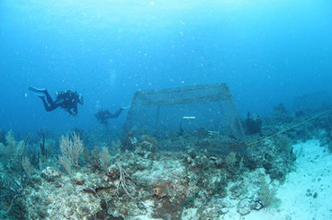 Подводная лаборатория «Водолей»