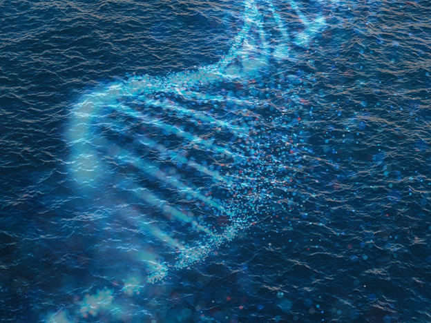 ДНК морской воды