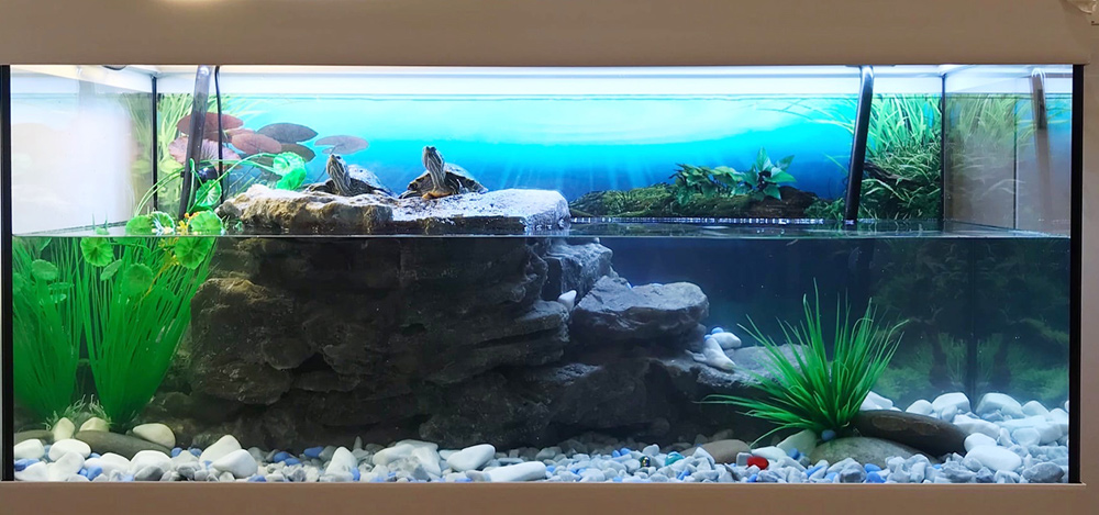 Детский аквариум с черепахами