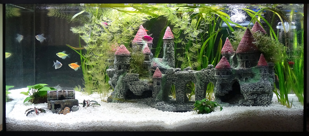 Детский аквариум Мир Гарри Поттера