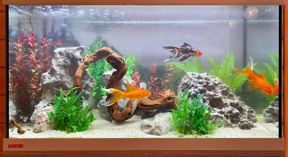 Детский аквариум с золотой рыбкой