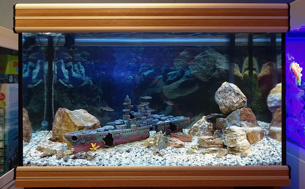Детский аквариум (от мала до велика)