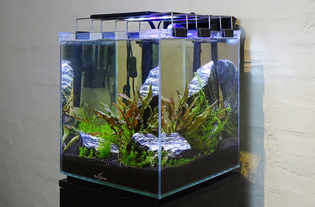 Нано-аквариум иллюминатор