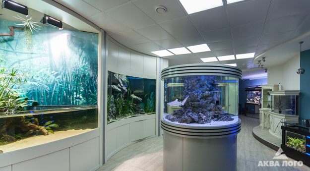 Аквариум в интерьере. Как сделать грамотно и красиво.