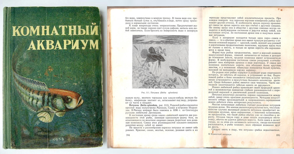 Книга комнатный аквариум Пешков