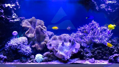 1.2 - Ультра-марин