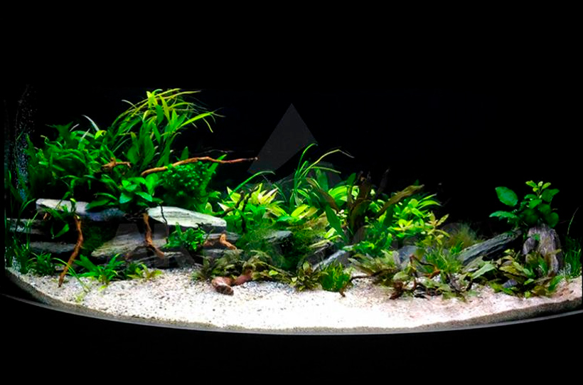 2.5 - Равновесие