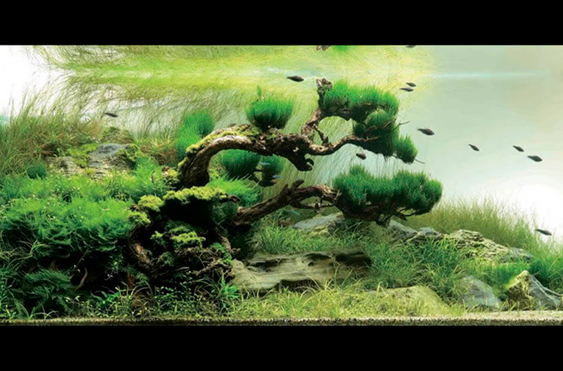 2.6 - О перспективе