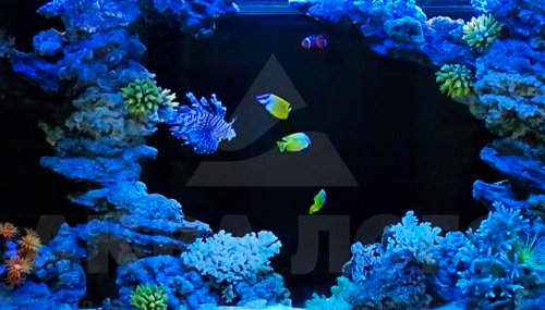 2.7 - Ритм и рифма, 2.8 - Соразмерность