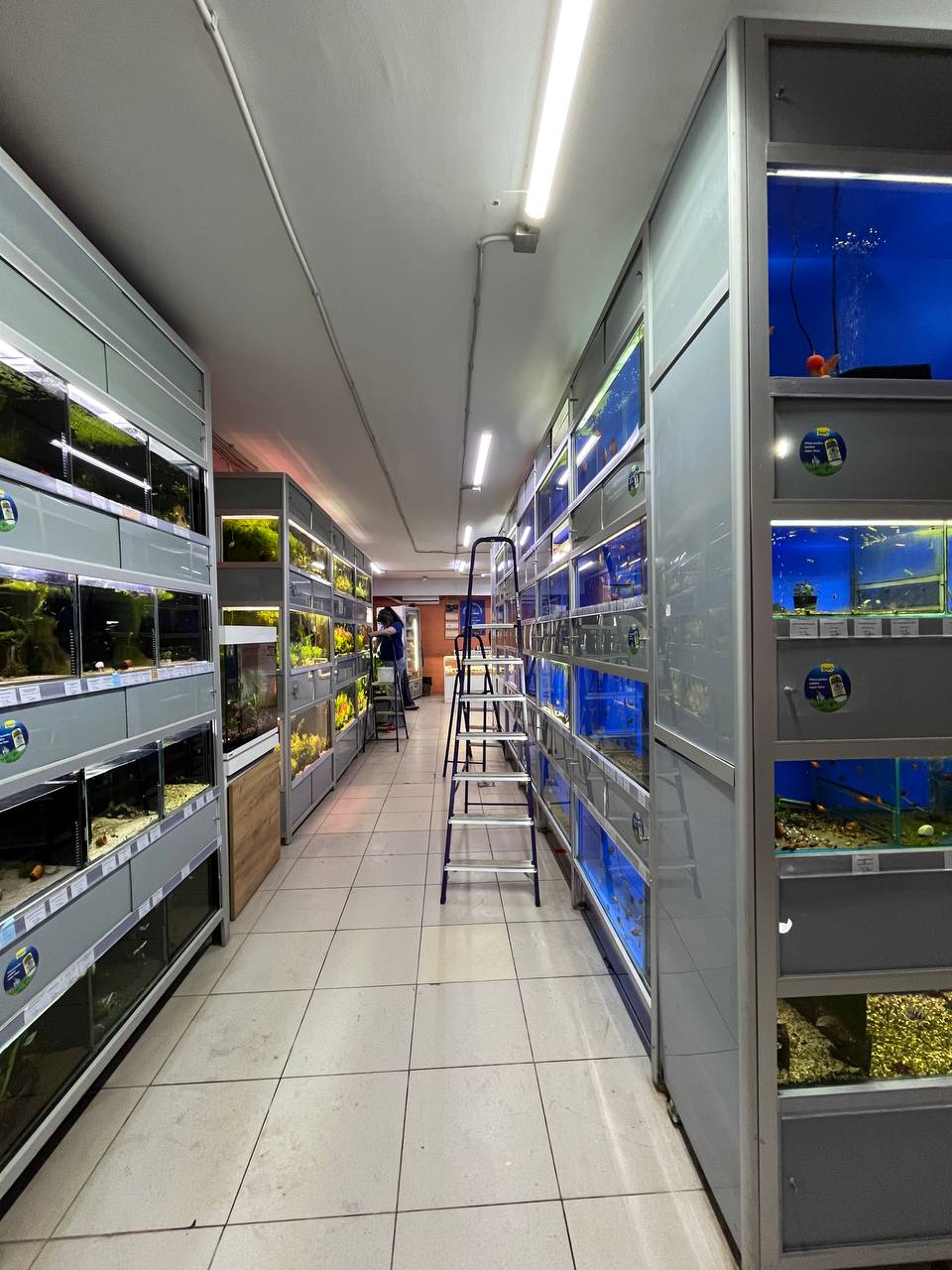 Аквариумный супермаркет Аква Лого Университет