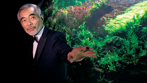 Аквариум: зоопарк или шедевр?