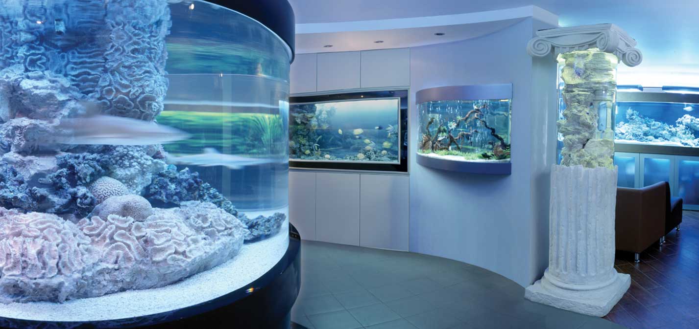 Как купить аквариум недорого?